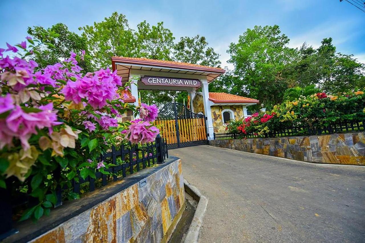 Centauria Wild Hotel Удавалаве Екстериор снимка